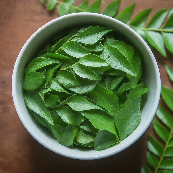 Organic Curry leaves powder